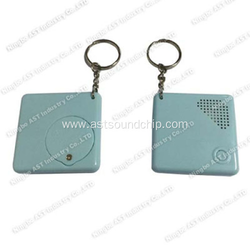 Sound Keychain, Voice Recorder Keychain, Musical Keychain